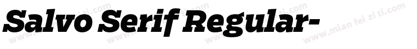 Salvo Serif Regular字体转换
